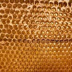 Peptyd mleczko pszczele