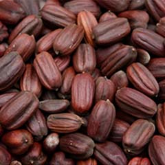 Biodegradowalne koraliki jojoba